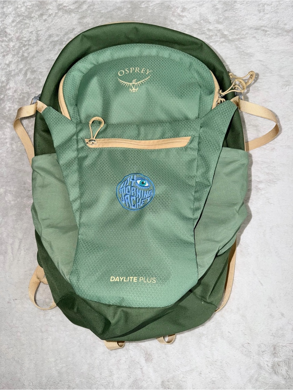 Osprey Daylite Plus 20L Hiking Backpack In Green